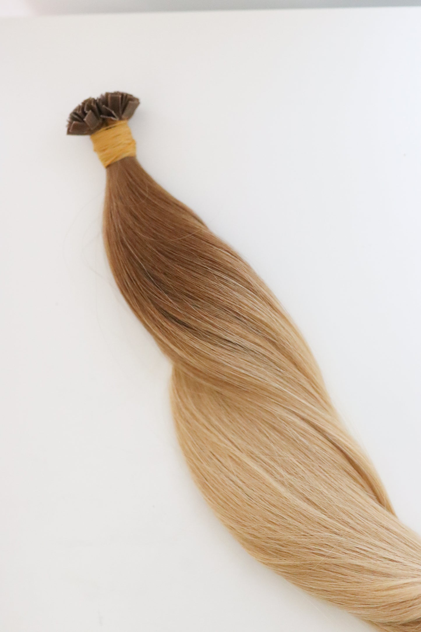 Elle Ombré #8.3\24
