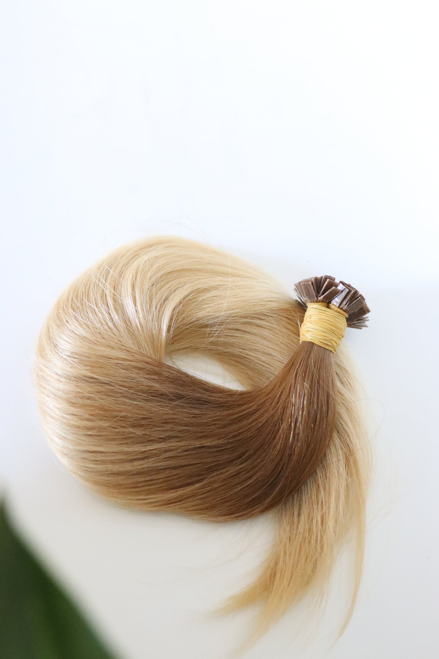 Elle Ombré #8.3\24